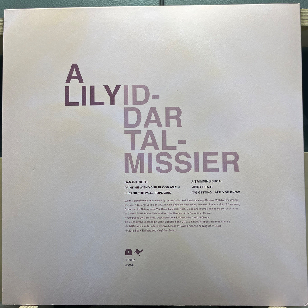 A Lily - ID-DAR-TAL-MISSIER
