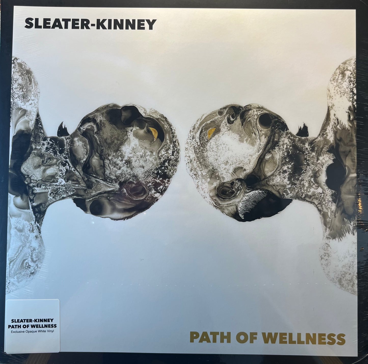 Sleater-Kinney - Path of Wellness