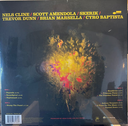 The Nels Cline Singers - Share The Wealth