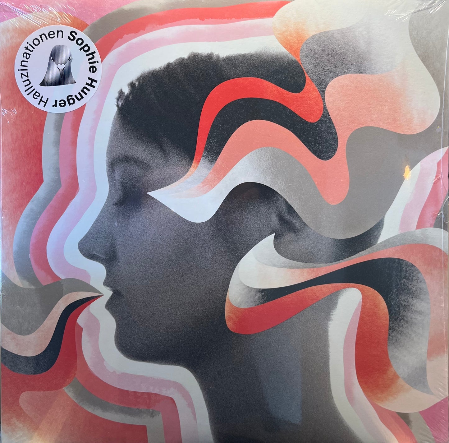 Sophie Hunger -Halluzinationen