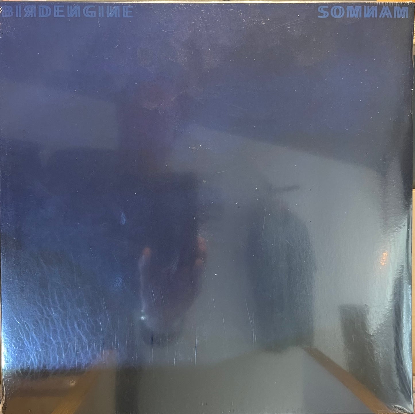 Birdengine - Somnam