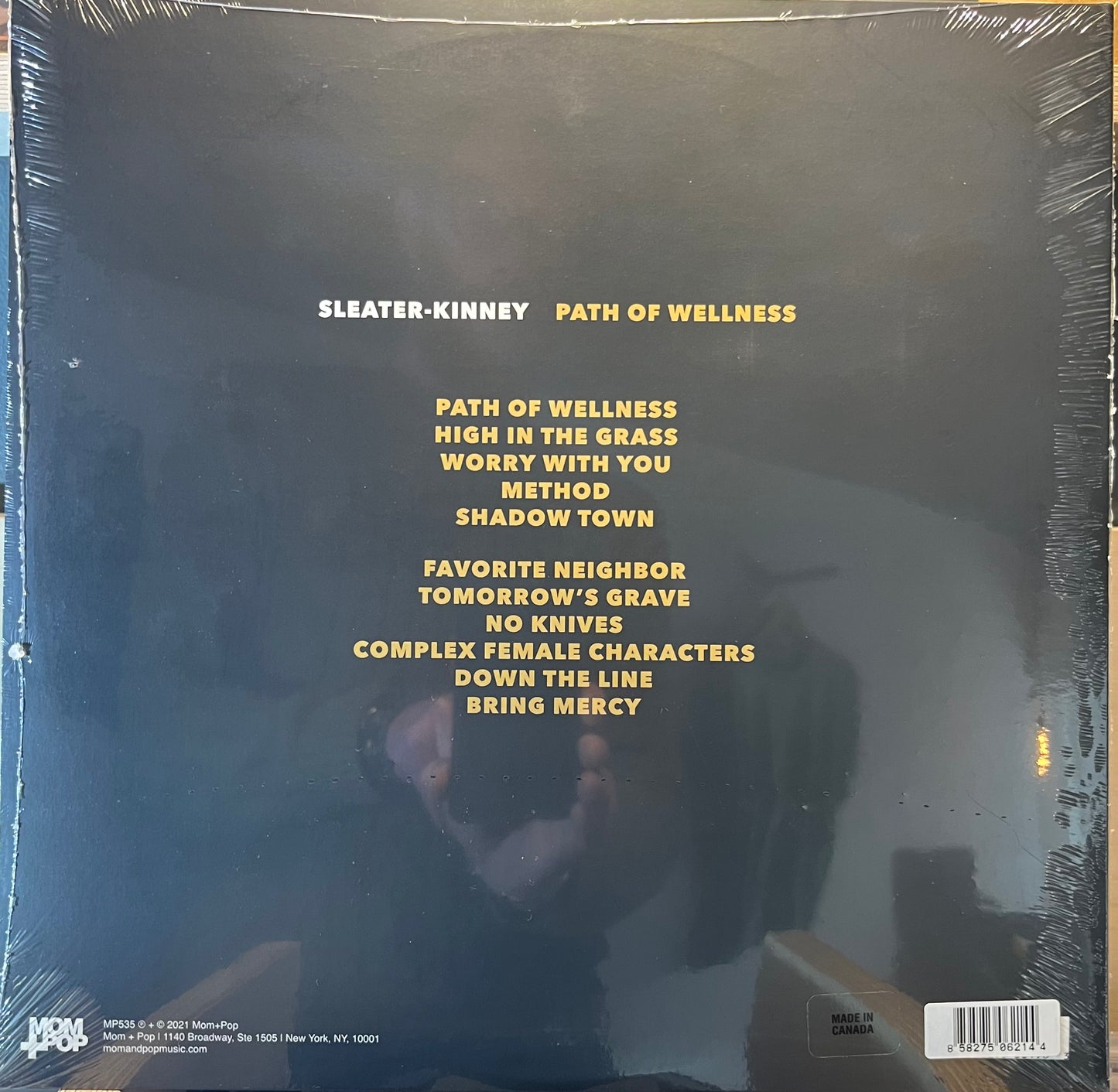 Sleater-Kinney - Path of Wellness