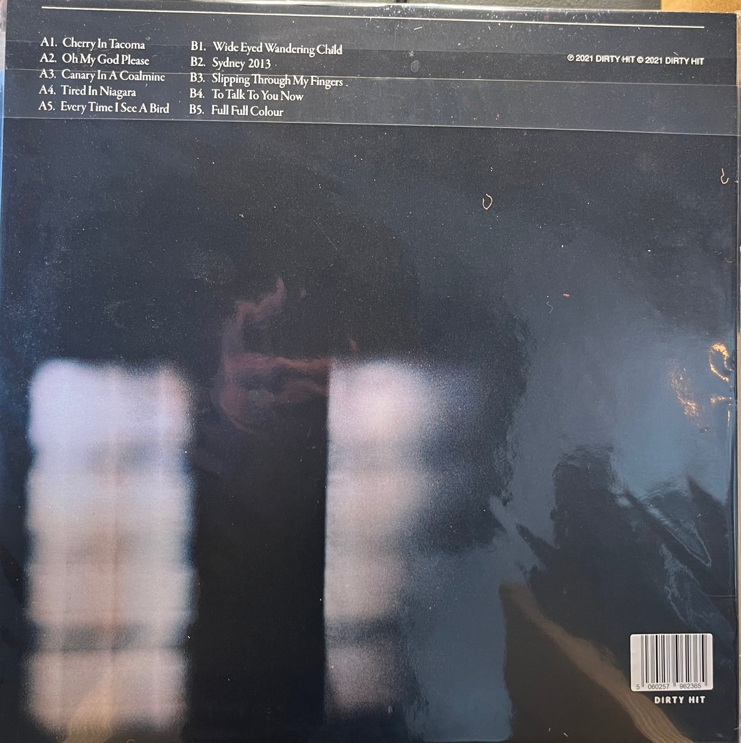 Benjamin Frances Leftwich - To Kill A Whale